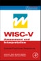 WISC-V评估和解释。科学家 - 从业者的观点。心理健康专业人员的实用资源-产品缩略图图像